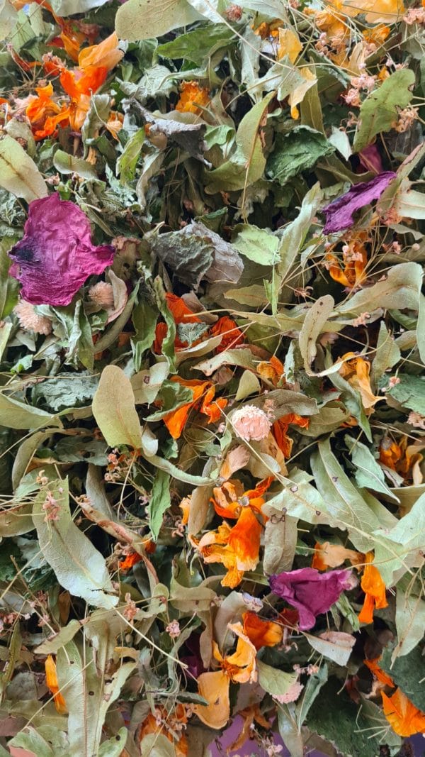 Tisane Douce Nuit BIO