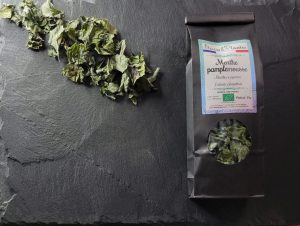 Tisane Menthe pamplemousse Bio