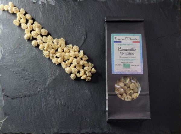 Tisane Camomille romaine Bio Tisane Camomille romaine Bio