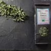 Tisane Verveine citronnée Bio