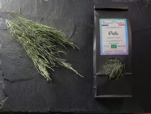 Tisane Prèle Bio