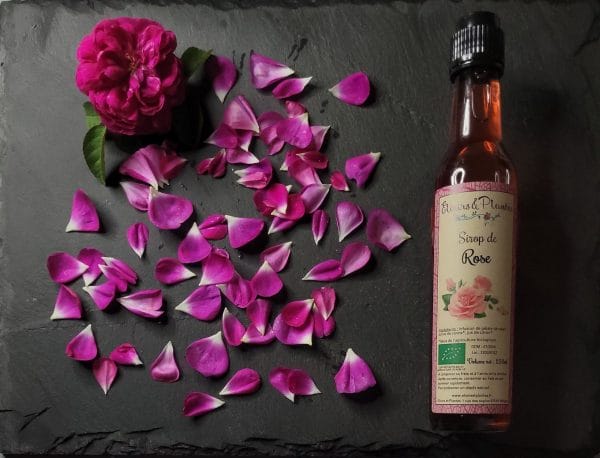 Sirop à la Rose Bio