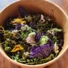 Tisane Maux d'Hiver