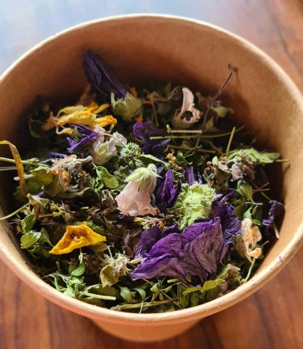 Tisane Maux d'Hiver