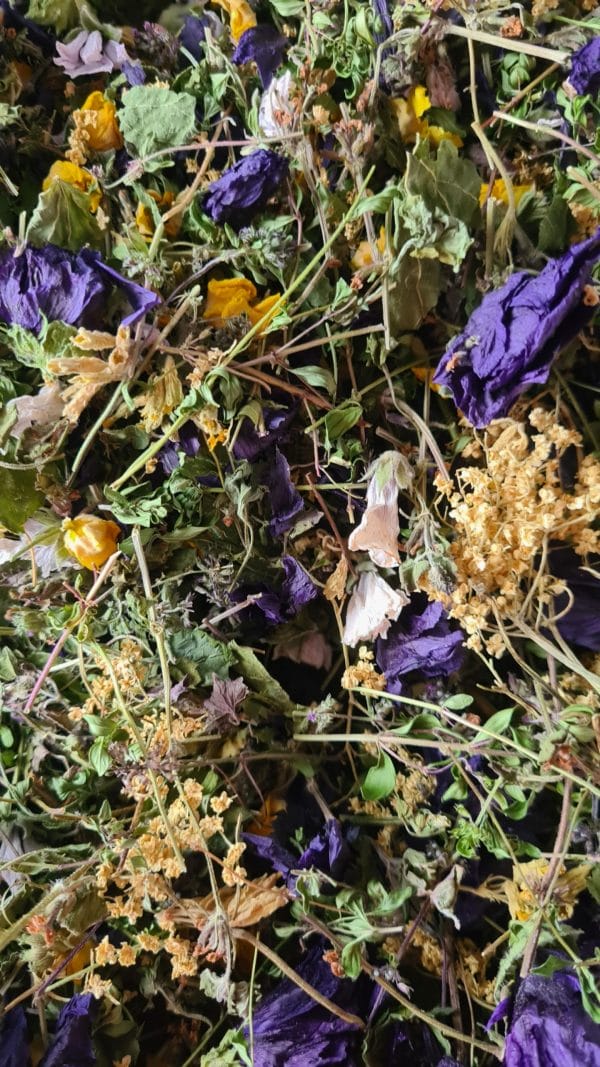 Tisane Maux d'Hiver