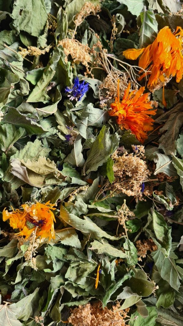 Tisane Détox BIO