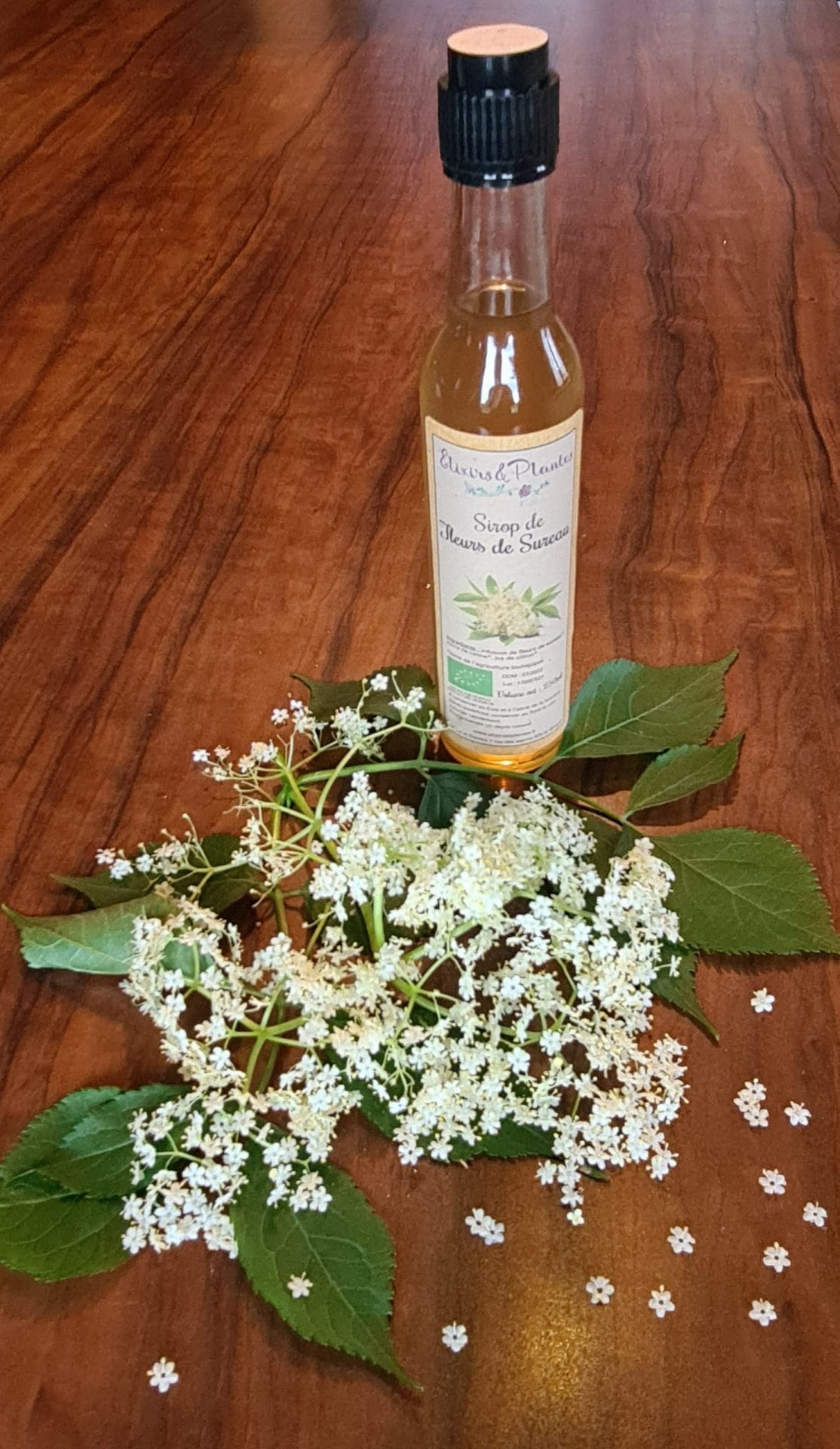 Sirop Fleur de Sureau Bio – Bacanha – 100 ml main image 0