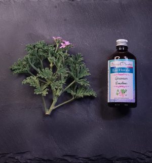 Eau florale de Géranium rosat bourbon BIO