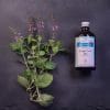 Hydrolat de Basilic sacré Tulsi BIO