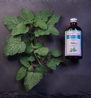 Hydrolat de Mélisse BIO