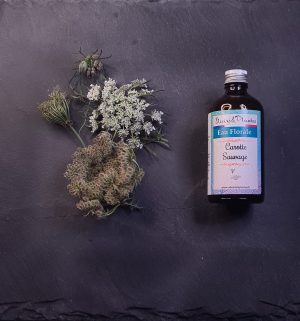 Eau florale de carotte sauvage BIO