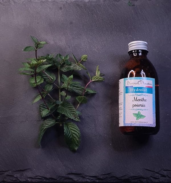 Hydrolat de Menthe poivrée BIO Hydrolat de Menthe poivrée BIO