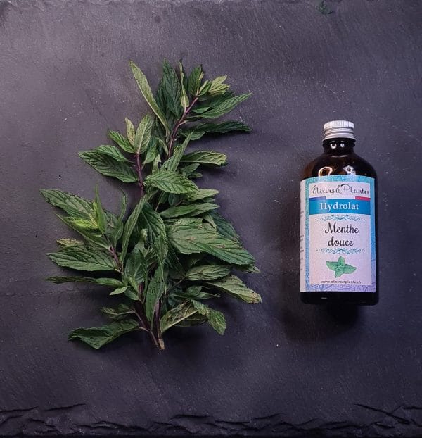 Hydrolat de Menthe douce BIO