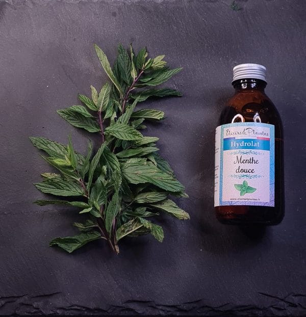 Hydrolat de Menthe douce BIO