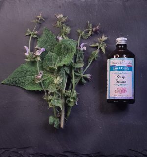 Eau florale de Sauge sclarée BIO