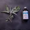 Hydrolat de Sauge officinale BIO