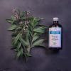 Hydrolat de verveine citronnée BIO