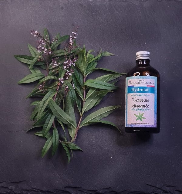 Hydrolat de verveine citronnée BIO Hydrolat de verveine citronnée BIO