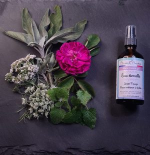 Eau éternelle BIO