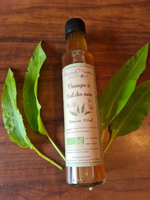 Vinaigre à l'ail des ours Bio