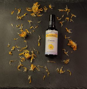 Arnica huile Bio