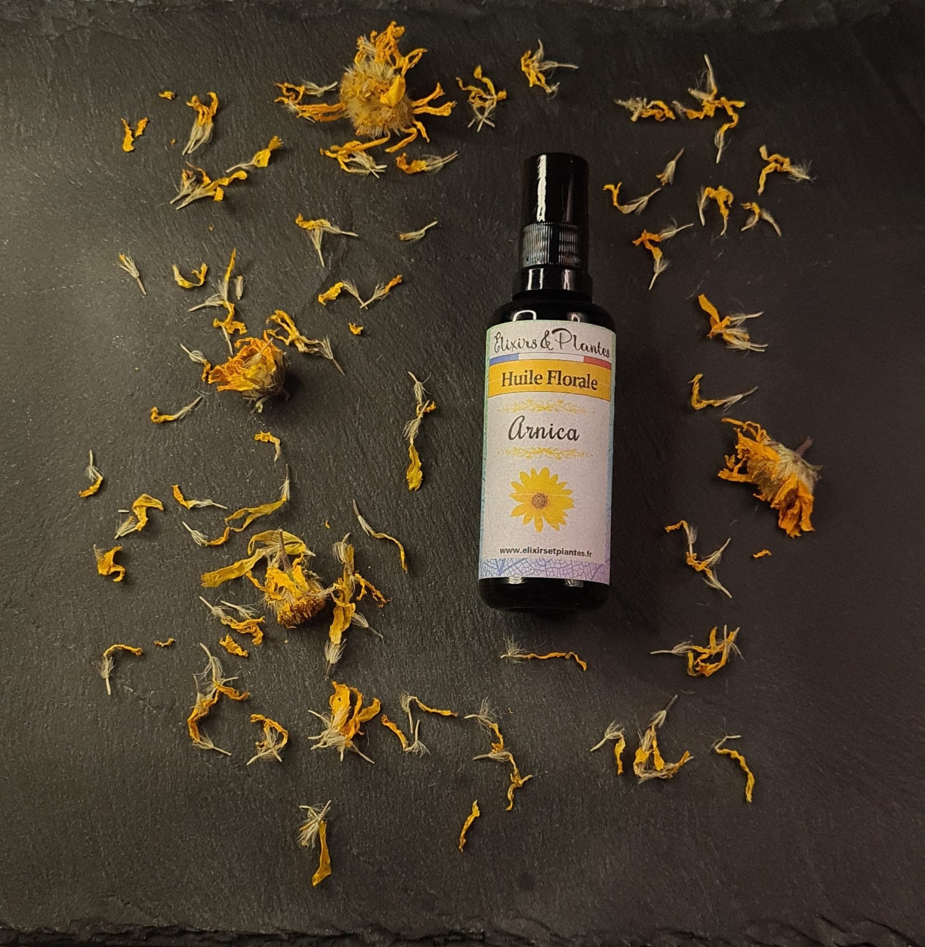 Arnica huile Bio