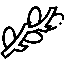 Gemmothérapie