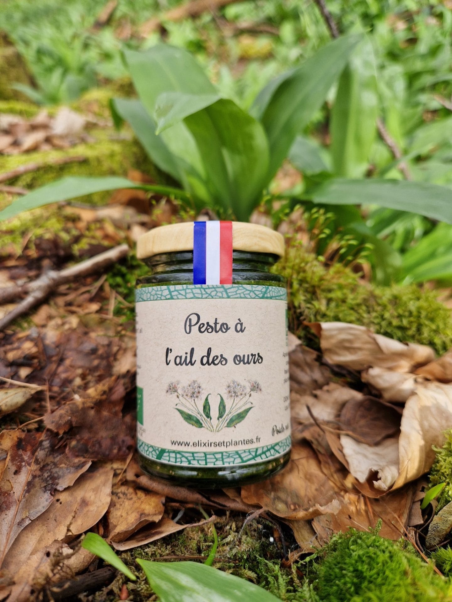 Pesto à l'ail des ours Bio Pesto ail des ours