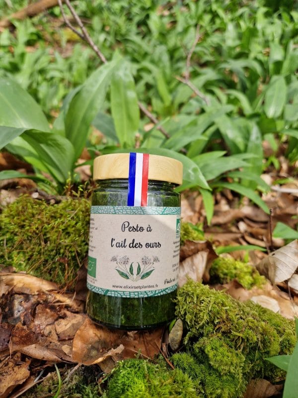 Pesto à l'ail des ours Bio Pesto à l'ail des ours Bio