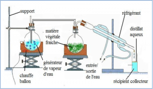 La Distillation par Entraînement à la Vapeur d'Eau
