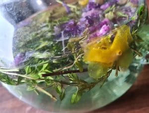 Huile de Calendula Bio