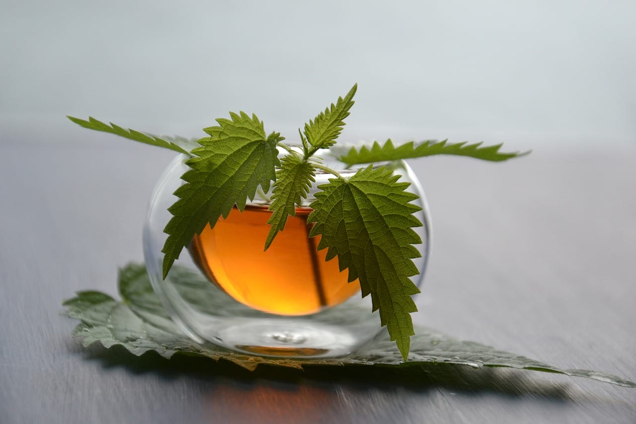 Tisane BIO du château de la petite Pierre