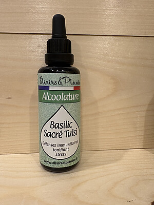 Alcoolature de basilic sacré BIO