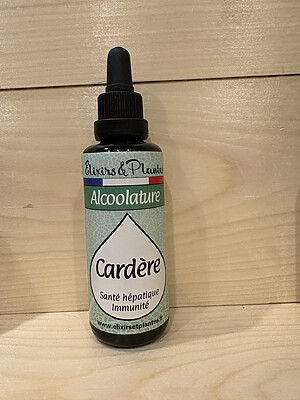 Alcoolature de Cardère BIO